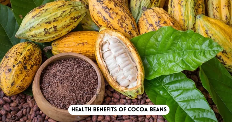 Health Benefits of Cocoa Beans