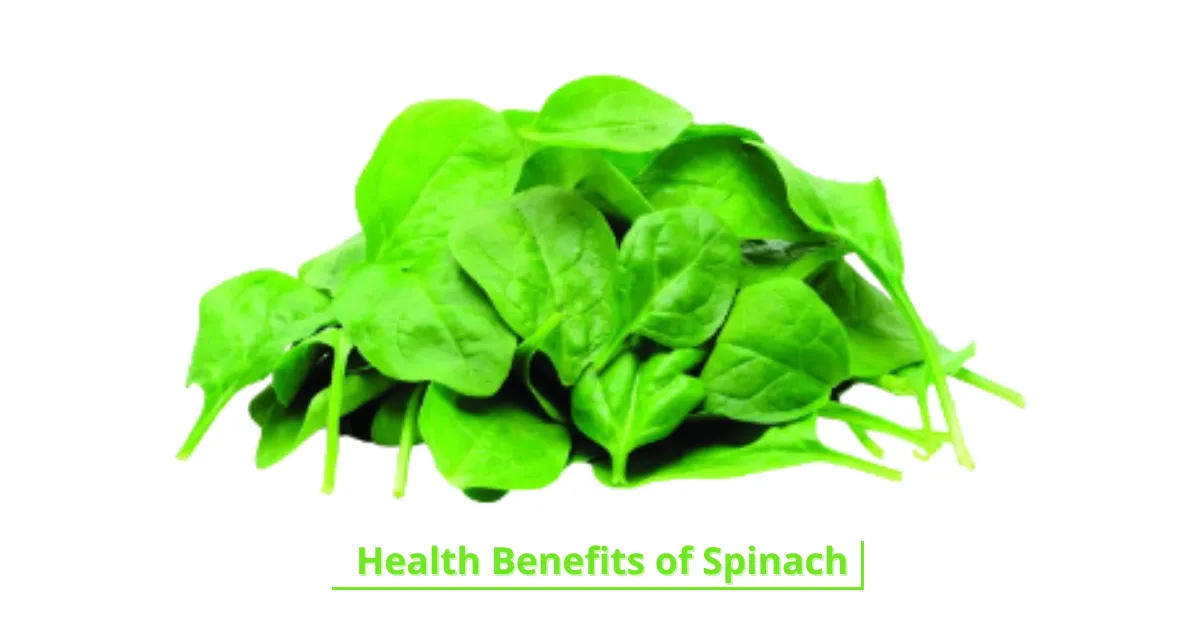 What Are The Benefits Of Having Spinach?